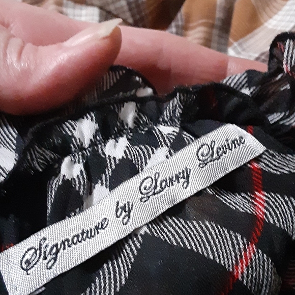 Chiffon Blouses - Picture 4 of 7